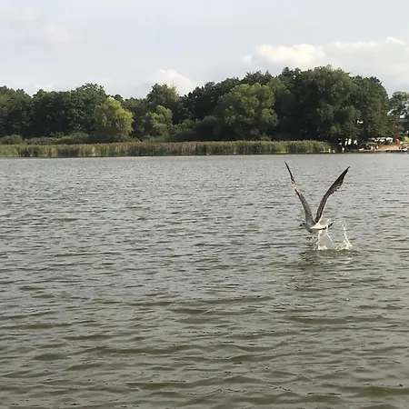 Mit Sauna Und Kaminofen By Interhome * Dahmen (Mecklenburg-Vorpommern)