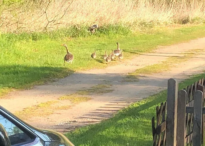 Mit Sauna Und Kaminofen By Interhome *
